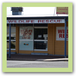 FNQWR Centre