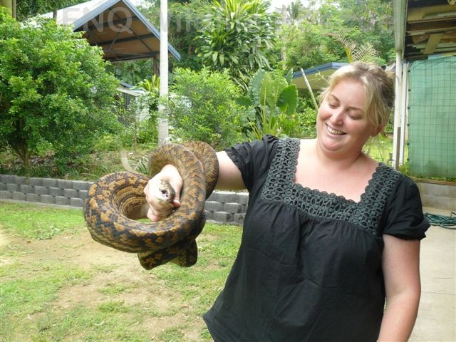 Python removal