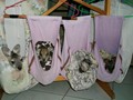 3 Species - Antilopine Wallaroo, Agile & Swamp Wallaby Joeys