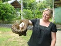 Python removal
